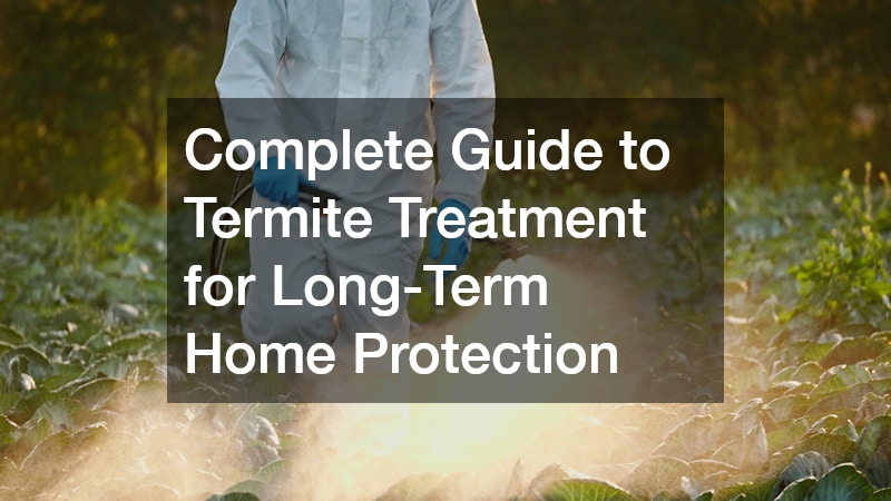 Complete Guide to Termite Treatment for Long-Term Home Protection