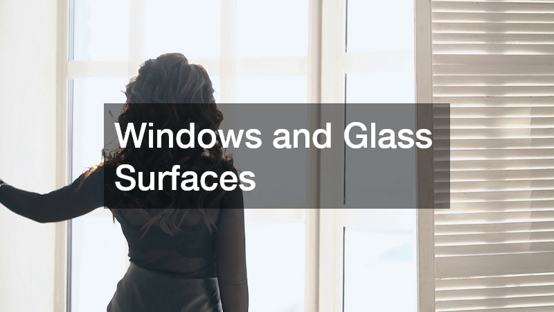 Windows and Glass Surfaces