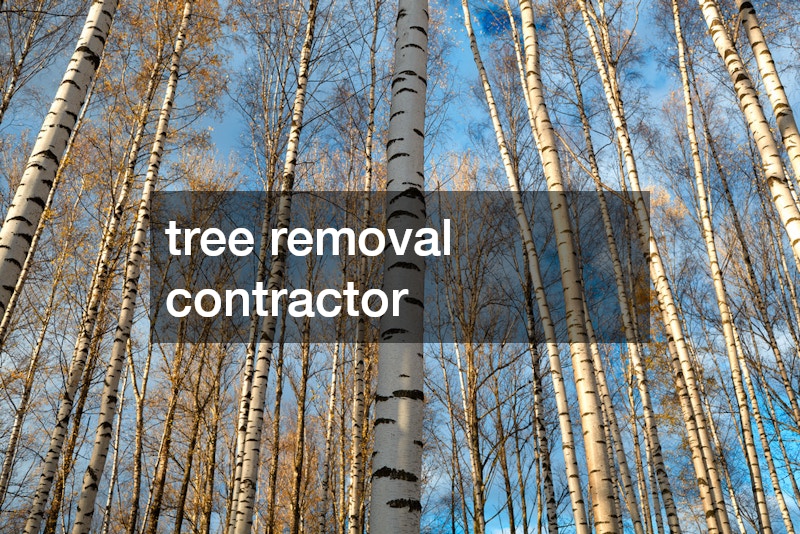 tree removal contractor