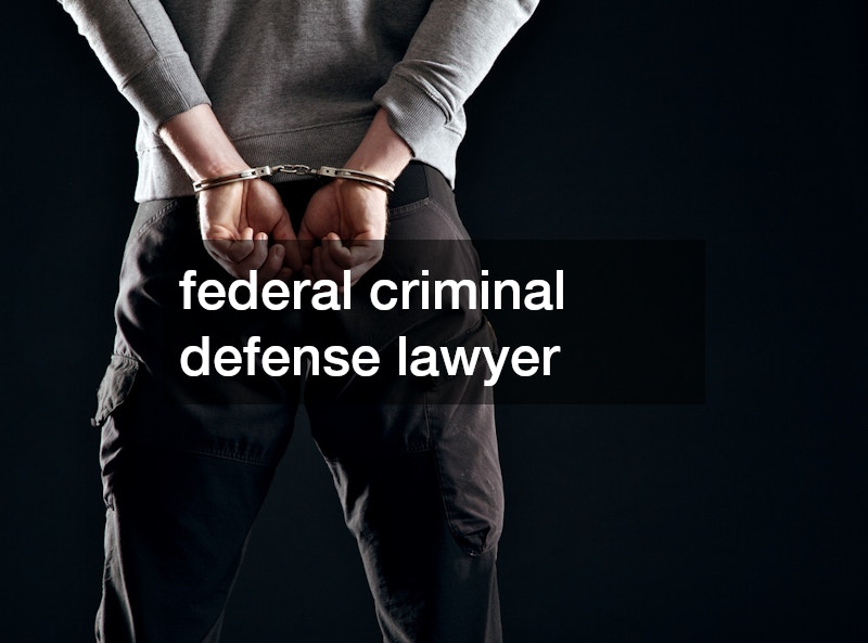 federal criminal defense lawyer