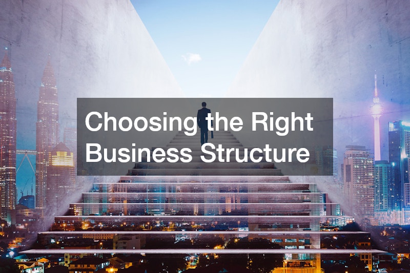 Choosing the Right Business Structure