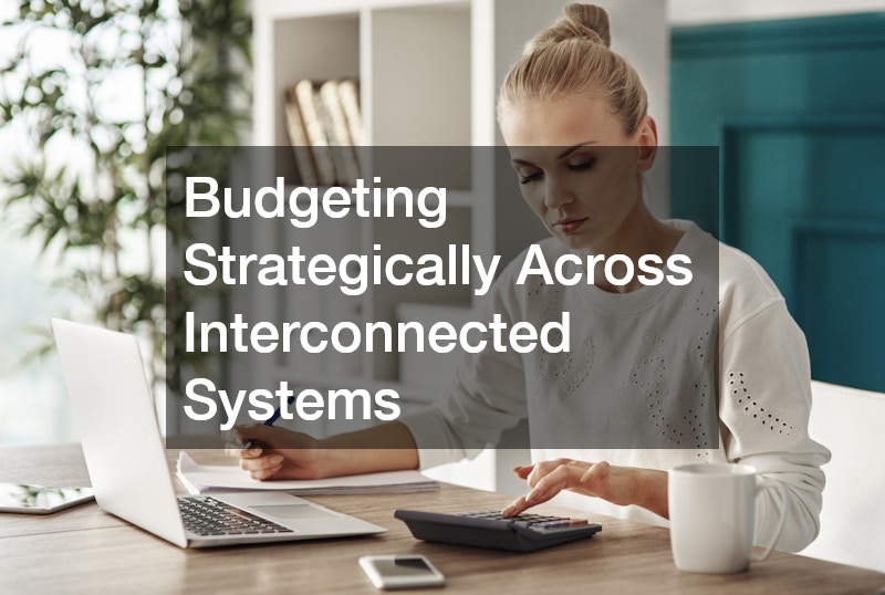 Budgeting Strategically Across Interconnected Systems