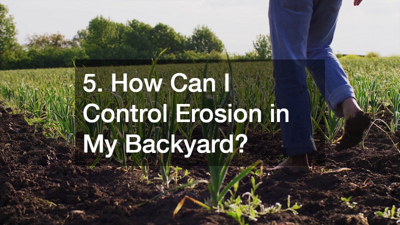 5. How Can I Control Erosion in My Backyard?