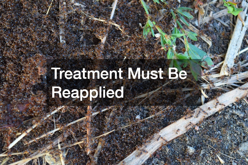 Treatment Must Be Reapplied