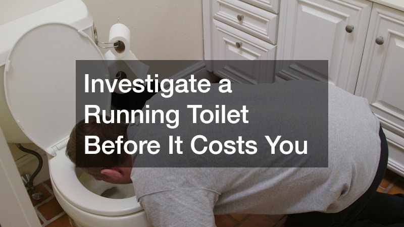 Investigate a Running Toilet Before It Costs You
