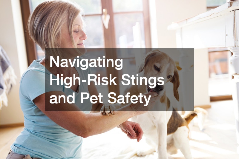 Navigating High-Risk Stings and Pet Safety