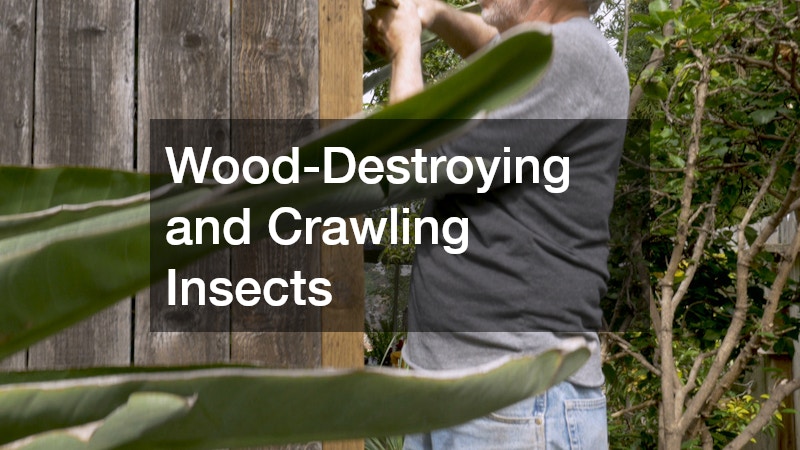Wood-Destroying and Crawling Insects