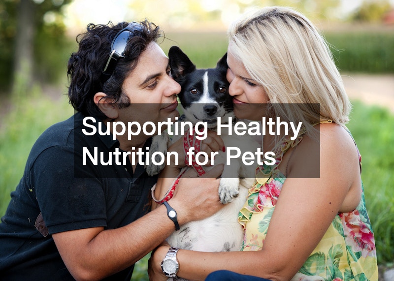 Supporting Healthy Nutrition for Pets