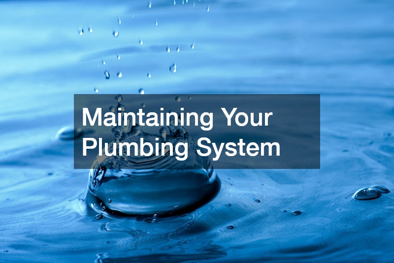 Maintaining Your Plumbing System