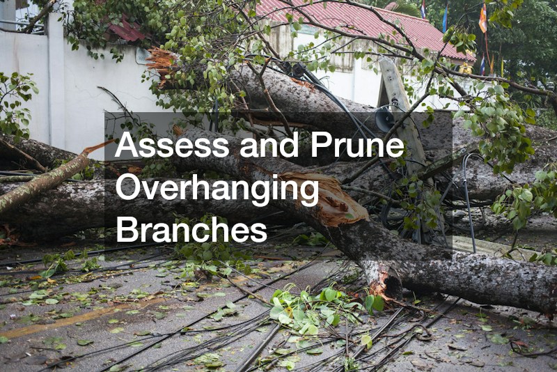 Assess and Prune Overhanging Branches