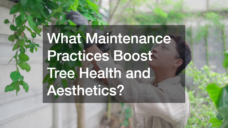 What Maintenance Practices Boost Tree Health and Aesthetics?