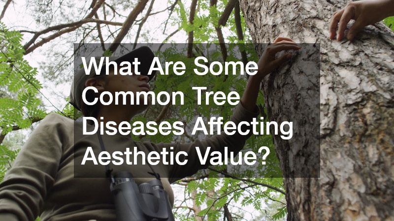What Are Some Common Tree Diseases Affecting Aesthetic Value?
