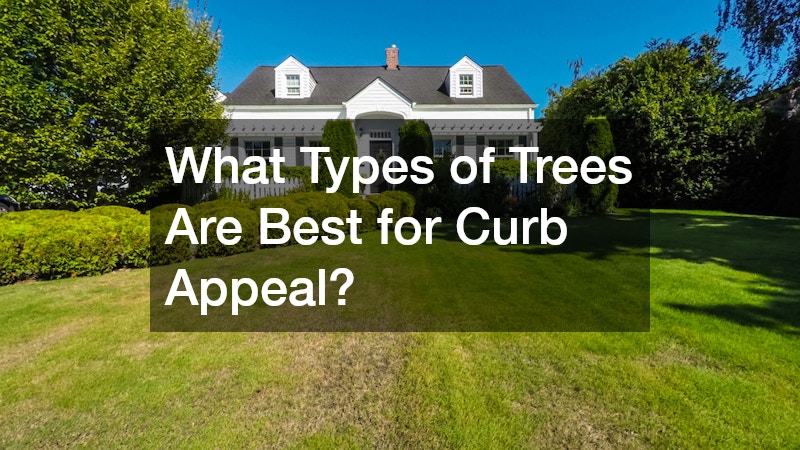 What Types of Trees Are Best for Curb Appeal?