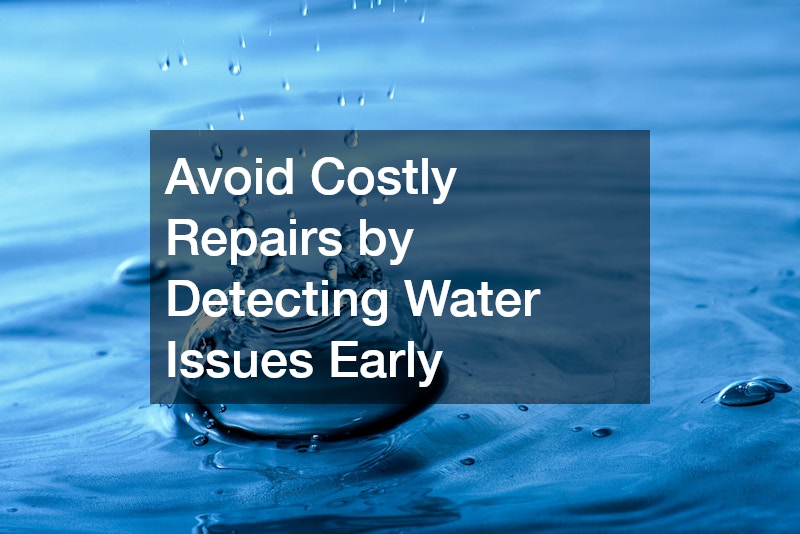 Avoid Costly Repairs by Detecting Water Issues Early