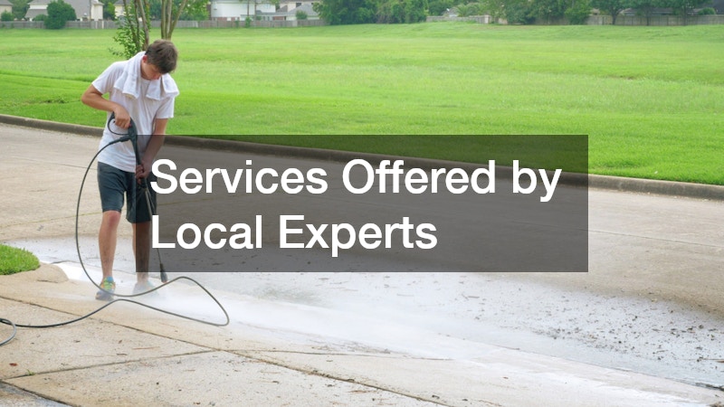Services Offered by Local Experts