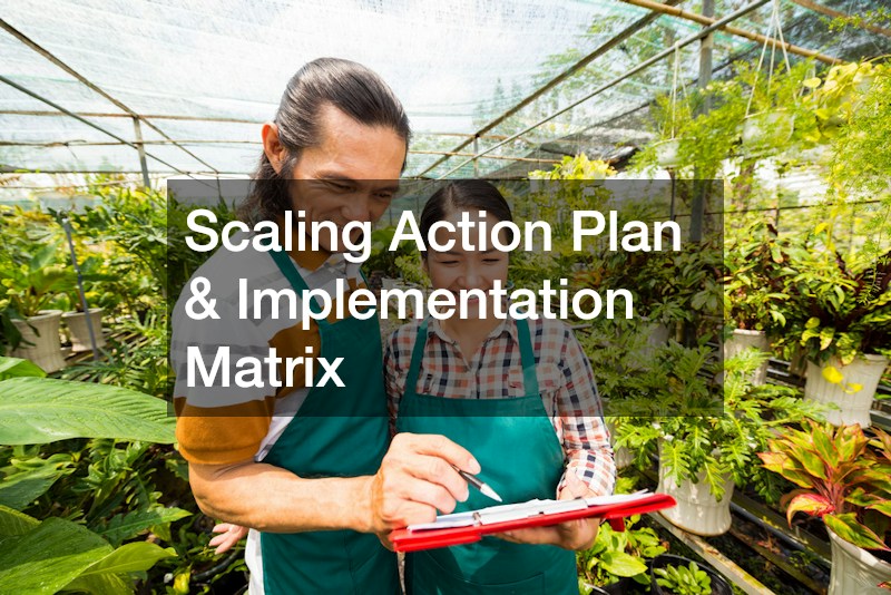 Scaling Action Plan & Implementation Matrix