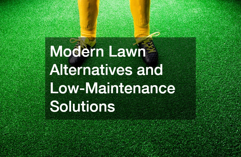 Modern Lawn Alternatives and Low-Maintenance Solutions
