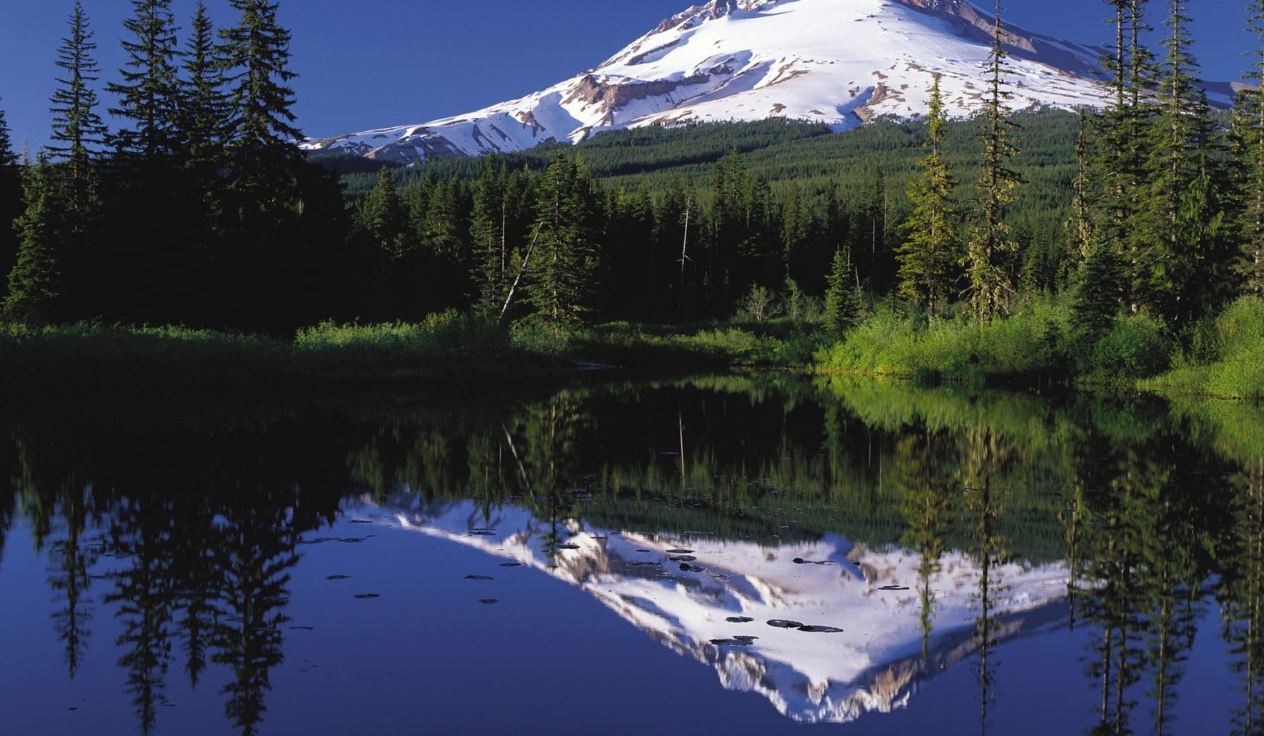 Fluid candidate gateway at clackamas county