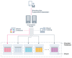 Architecture of Oracle Database Sharding