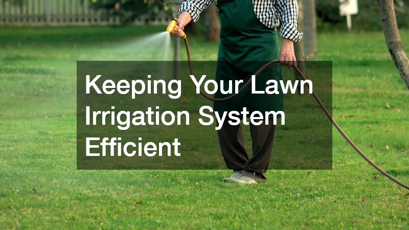 Keeping Your Lawn Irrigation System Efficient