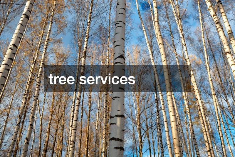 tree services