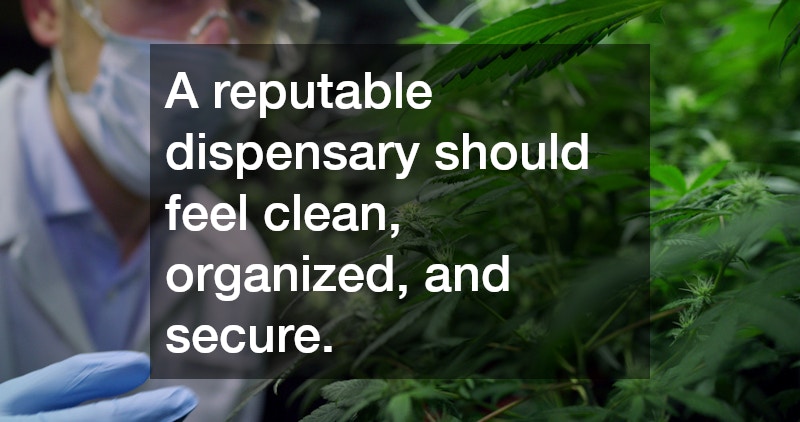 A reputable dispensary should feel clean, organized, and secure.