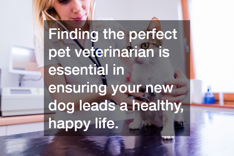 Finding the perfect pet veterinarian is essential in ensuring your new dog leads a healthy, happy life.