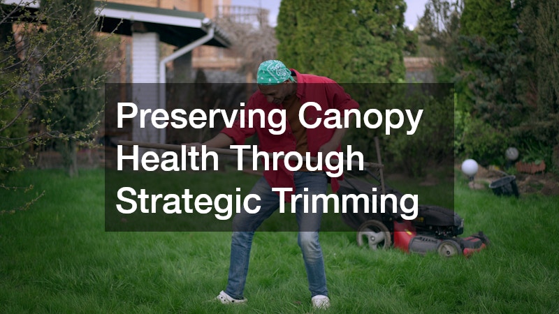 Preserving Canopy Health Through Strategic Trimming
