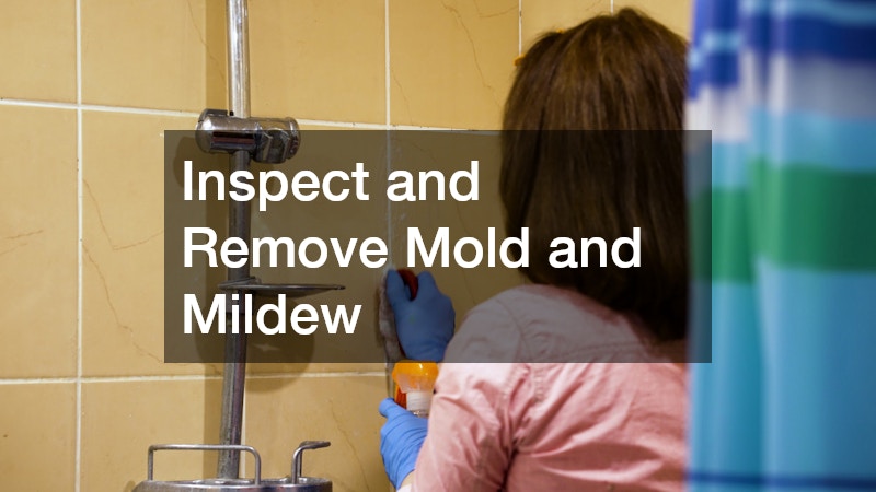 Inspect and Remove Mold and Mildew