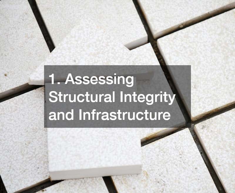1. Assessing Structural Integrity and Infrastructure