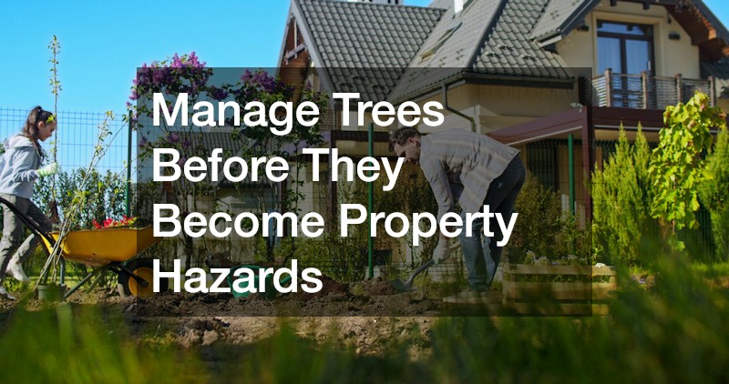 Manage Trees Before They Become Property Hazards