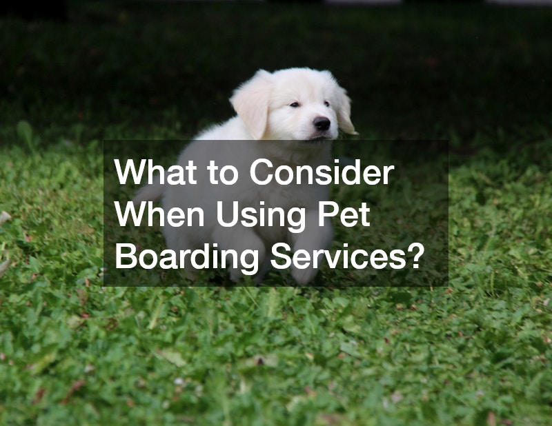 What to Consider When Using Pet Boarding Services?