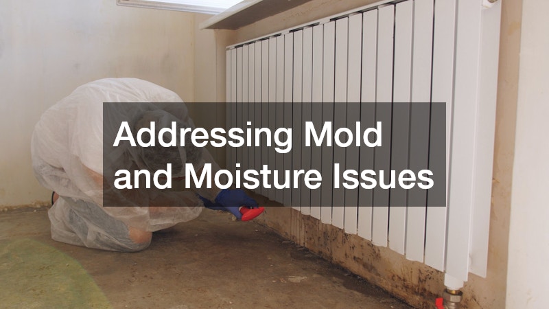 Addressing Mold and Moisture Issues