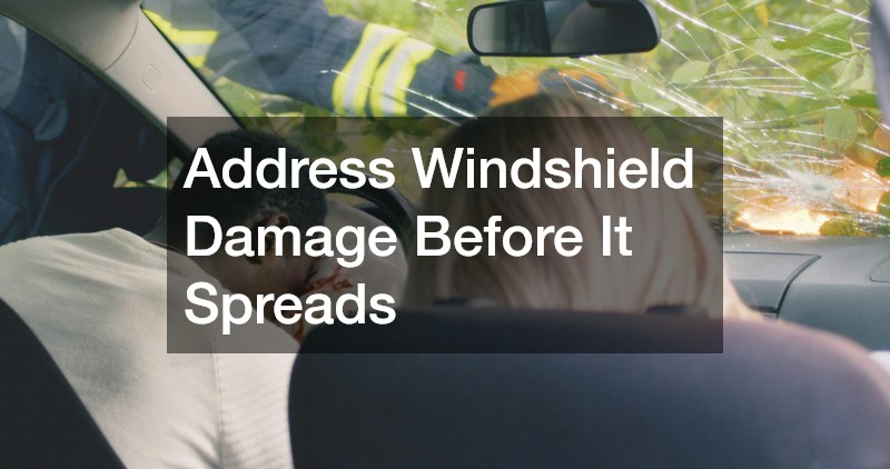 Address Windshield Damage Before It Spreads
