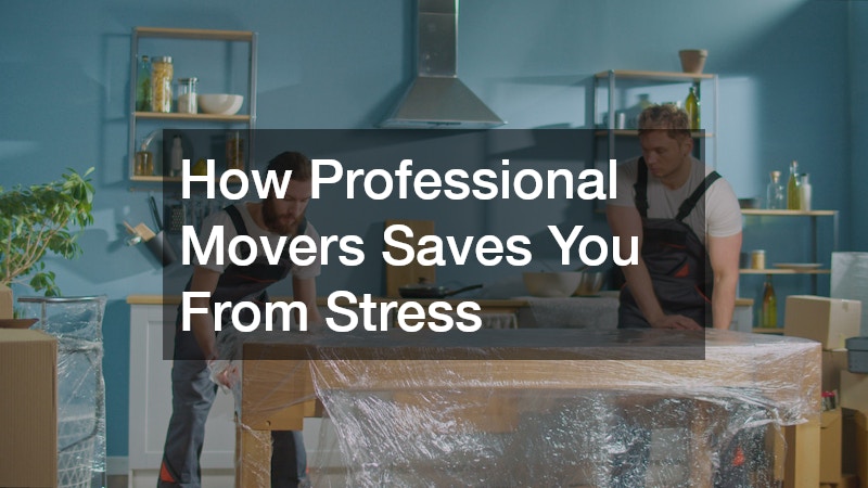 How Professional Movers Saves You From Stress
