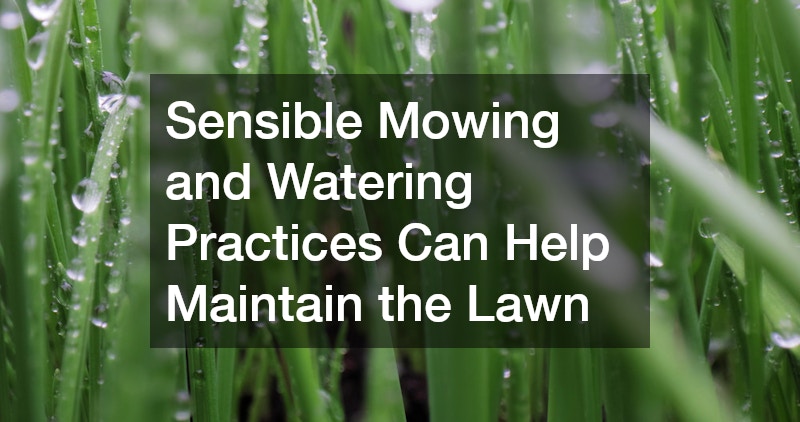 Sensible Mowing and Watering Practices Can Help Maintain the Lawn