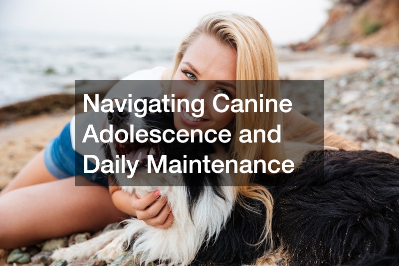 Navigating Canine Adolescence and Daily Maintenance