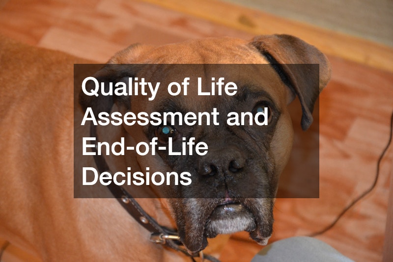Quality of Life Assessment and End-of-Life Decisions