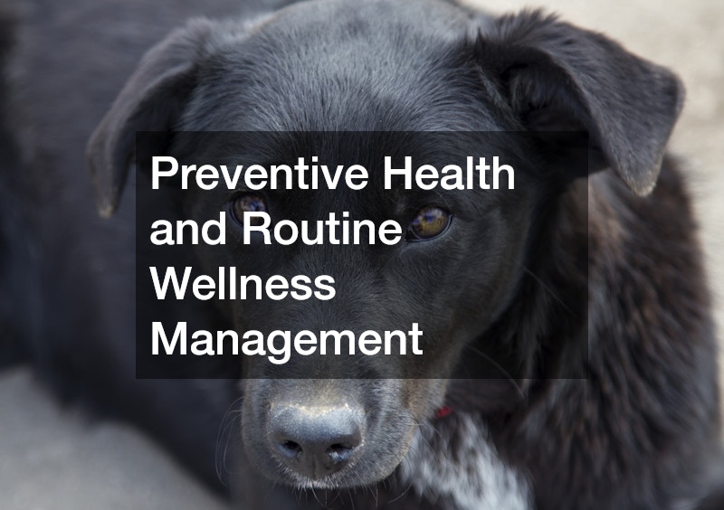 Preventive Health and Routine Wellness Management
