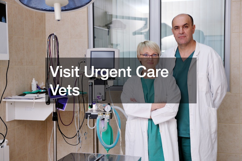 Visit Urgent Care Vets