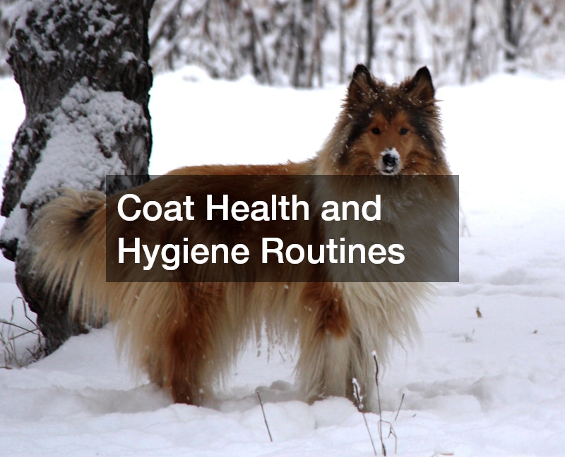 Coat Health and Hygiene Routines