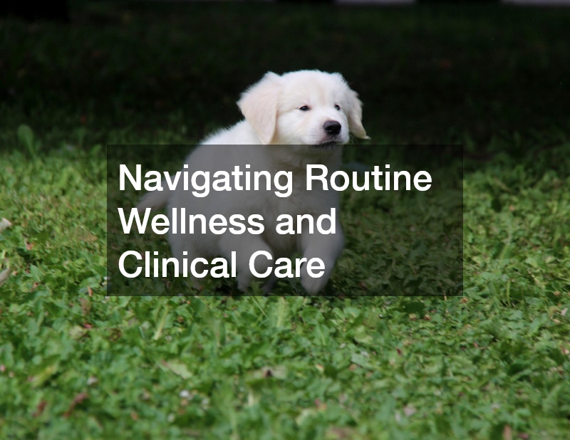 Navigating Routine Wellness and Clinical Care