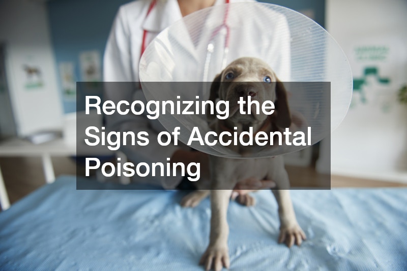 Recognizing the Signs of Accidental Poisoning