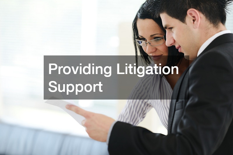 Providing Litigation Support