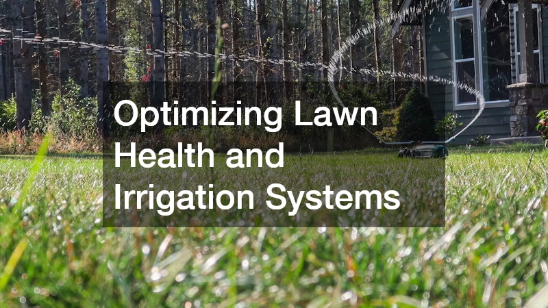 Optimizing Lawn Health and Irrigation Systems