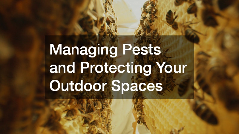 Managing Pests and Protecting Your Outdoor Spaces
