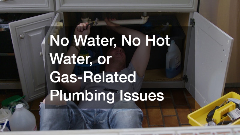 No Water, No Hot Water, or Gas-Related Plumbing Issues