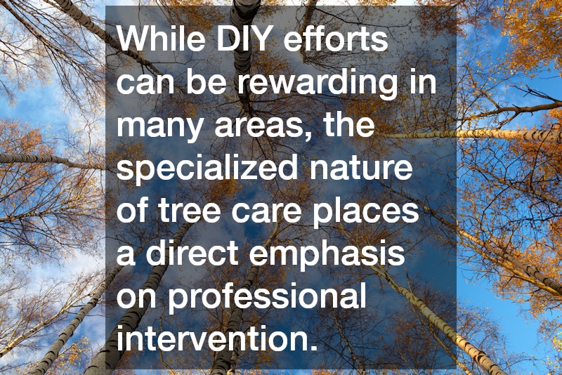 While DIY efforts can be rewarding in many areas, the specialized nature of tree care places a direct emphasis on professional intervention.