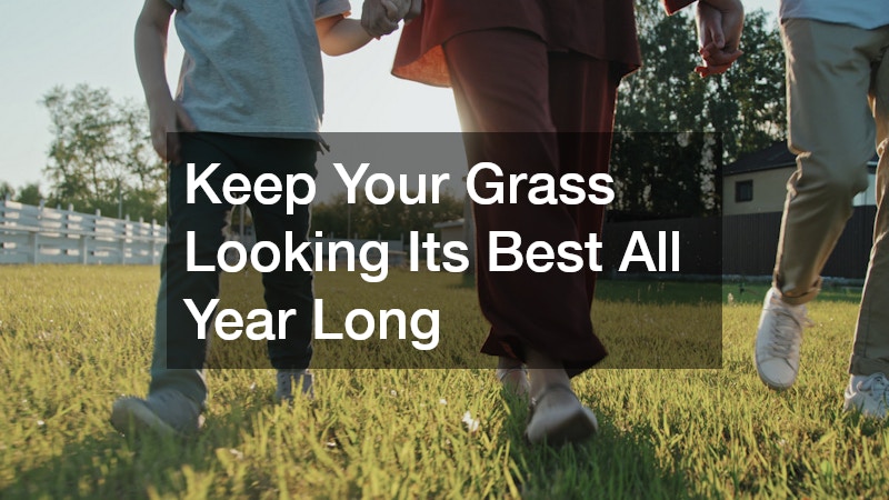 Keep Your Grass Looking Its Best All Year Long