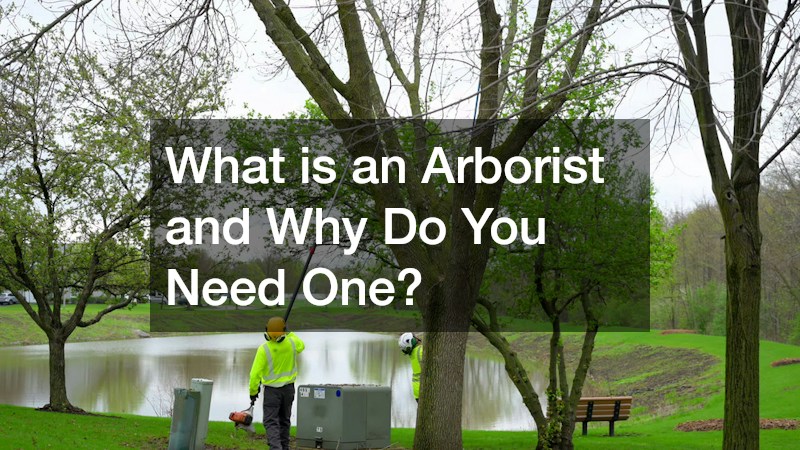 What is an Arborist and Why Do You Need One?